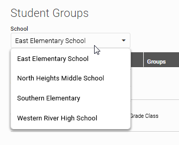 Manage Groups - Student Groups Page