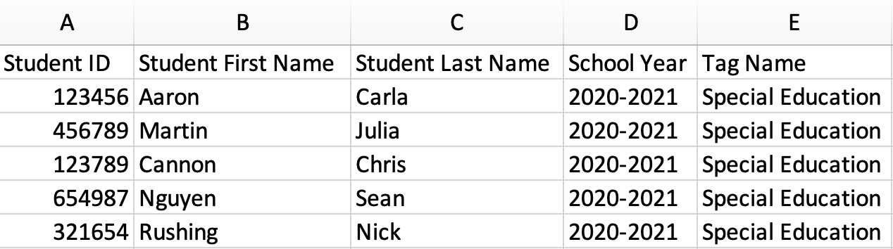 Upload a Student Tags File