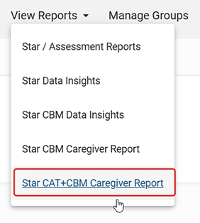 Star Record Book - Latest Assessments Tab