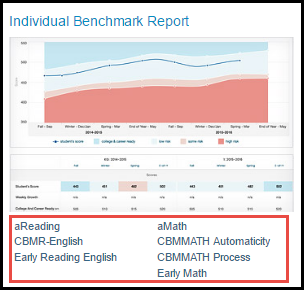 Individual Benchmark Report