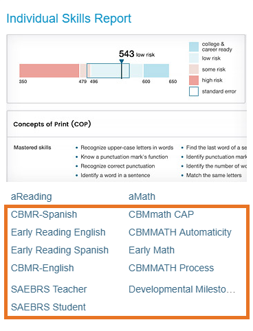 Individual Skills Report